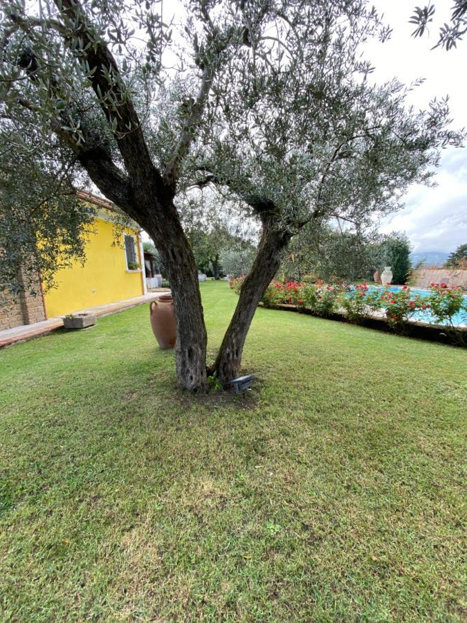 Villa "Casa Al Chiazzullo" Mirabella Eclano Exterior photo